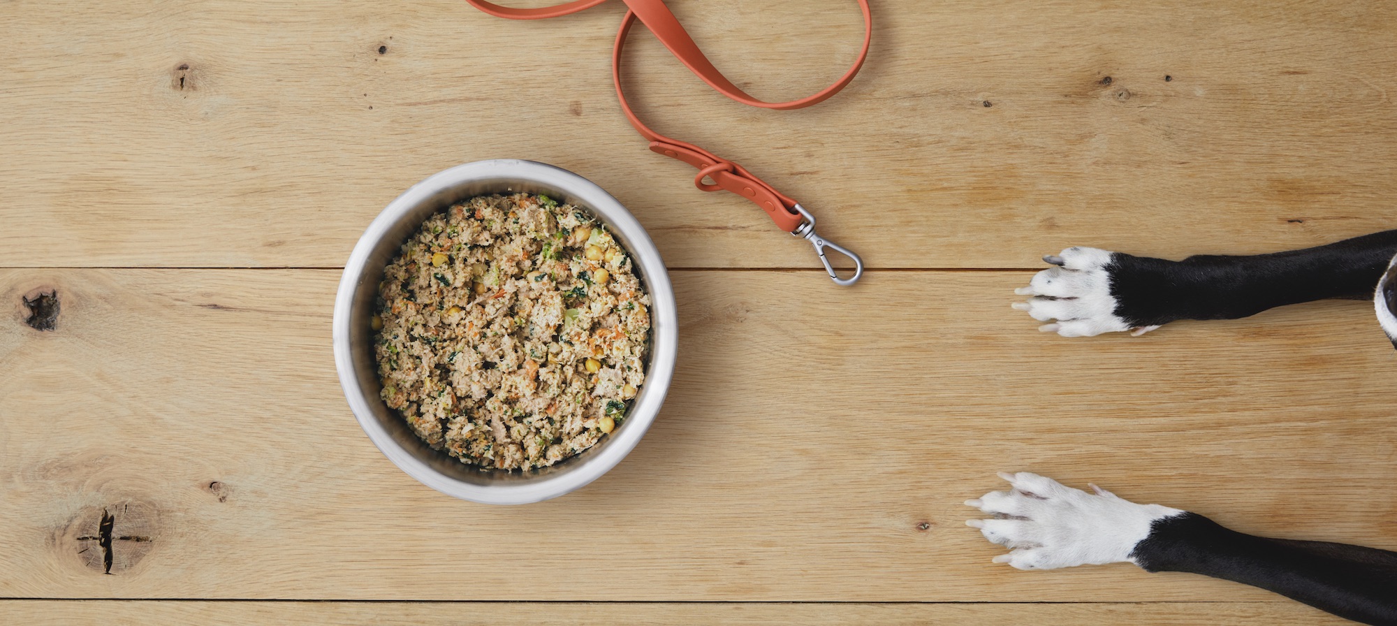6 Benefits of Feeding Your Dog Fresh, Real Food