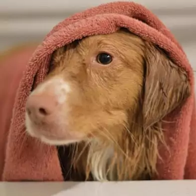 15538286_1204675252902839_2885610680176607232_n