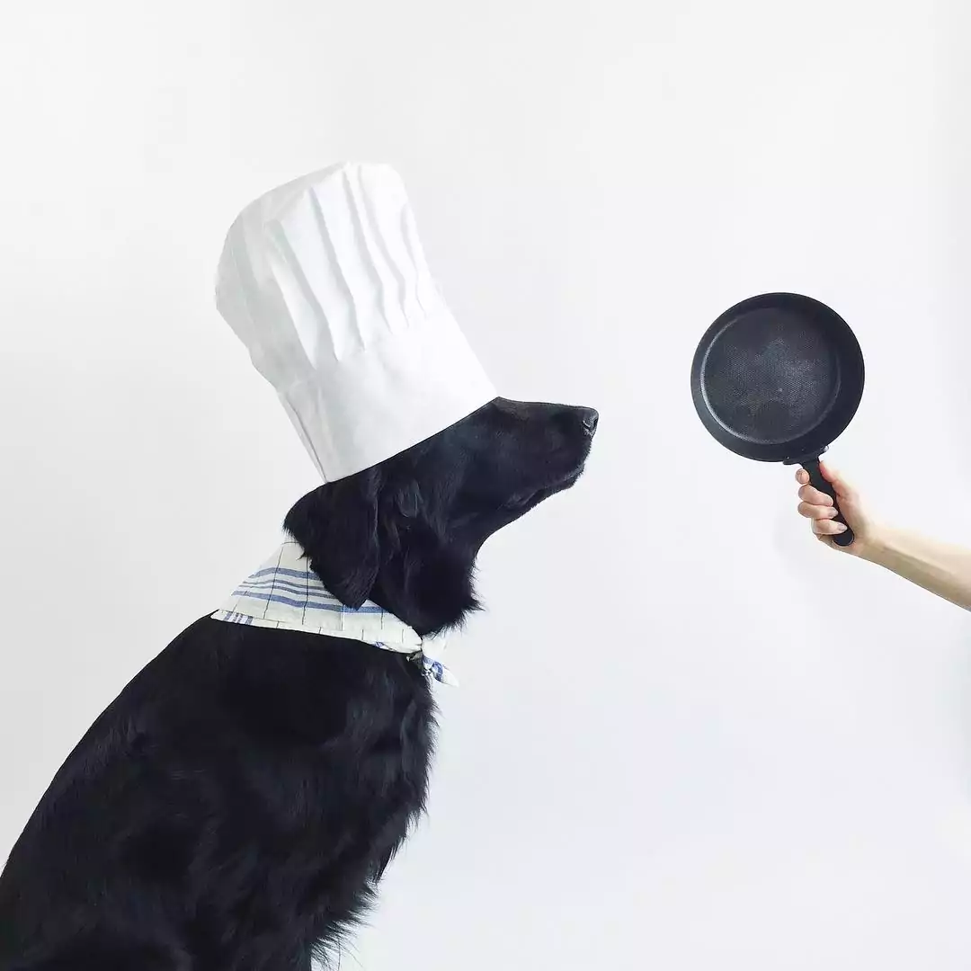 Cooking for Your Dog? Watch Out for These Nutrient Deficiencies