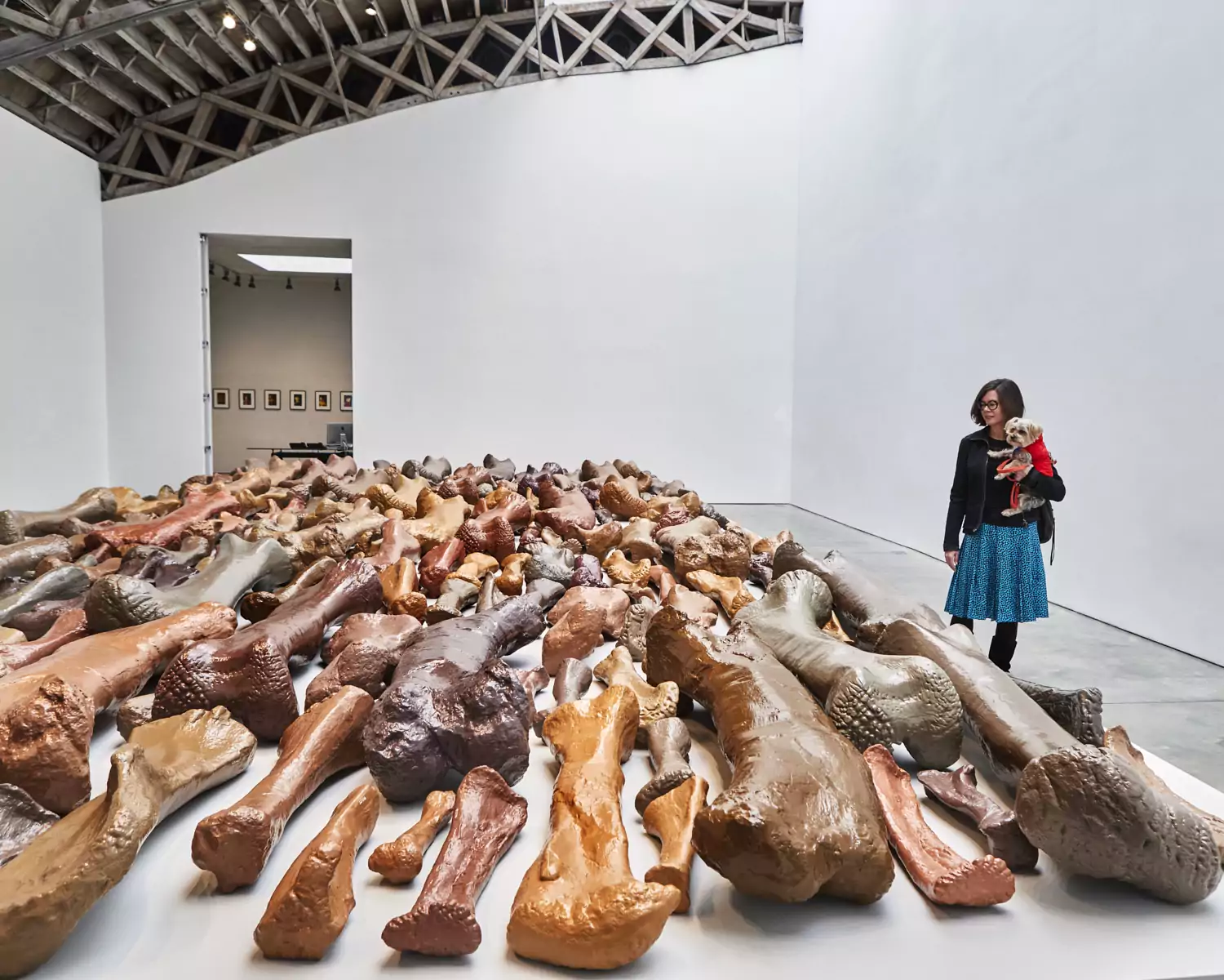 Introducing dOGUMENTA, the First Art Show for Dogs