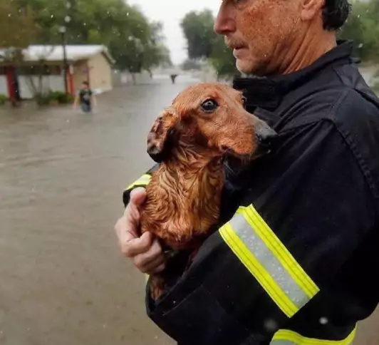 [UPDATE] Hurricane Harvey: What We’re Doing, and How You Can Help