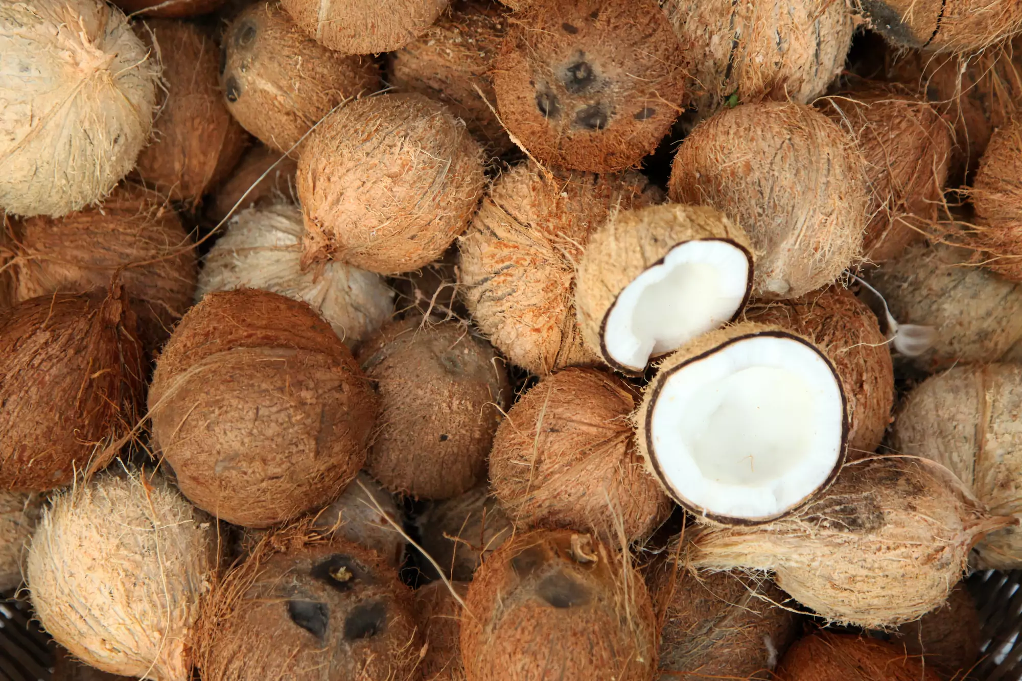 Pile,Of,Coconuts,In,The,Food,Market,Of,India