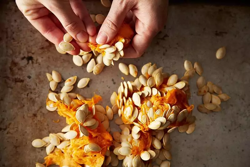 pumpkin seeds for dogs