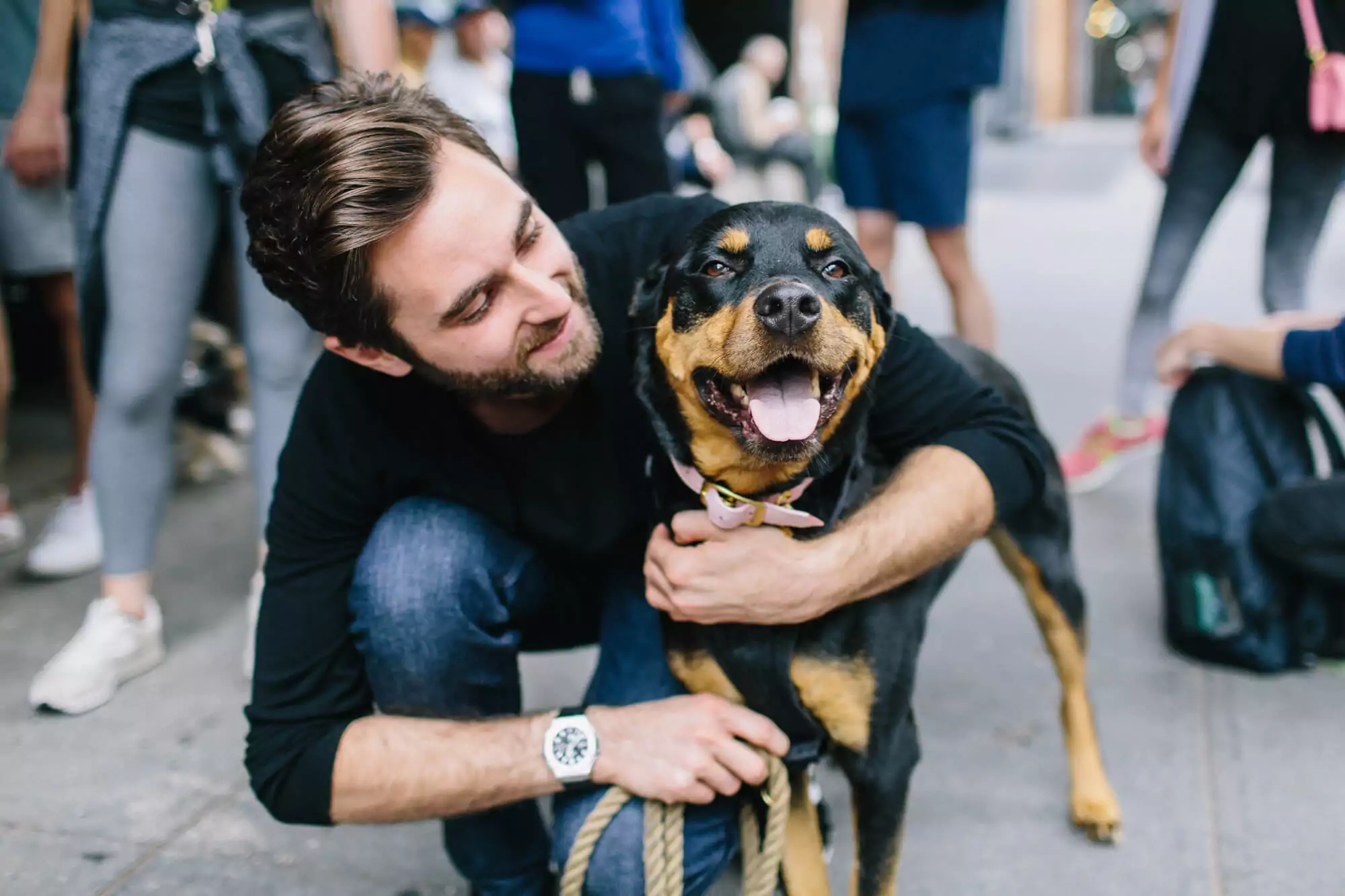 Why National Pet Day is More Than Just a Holiday