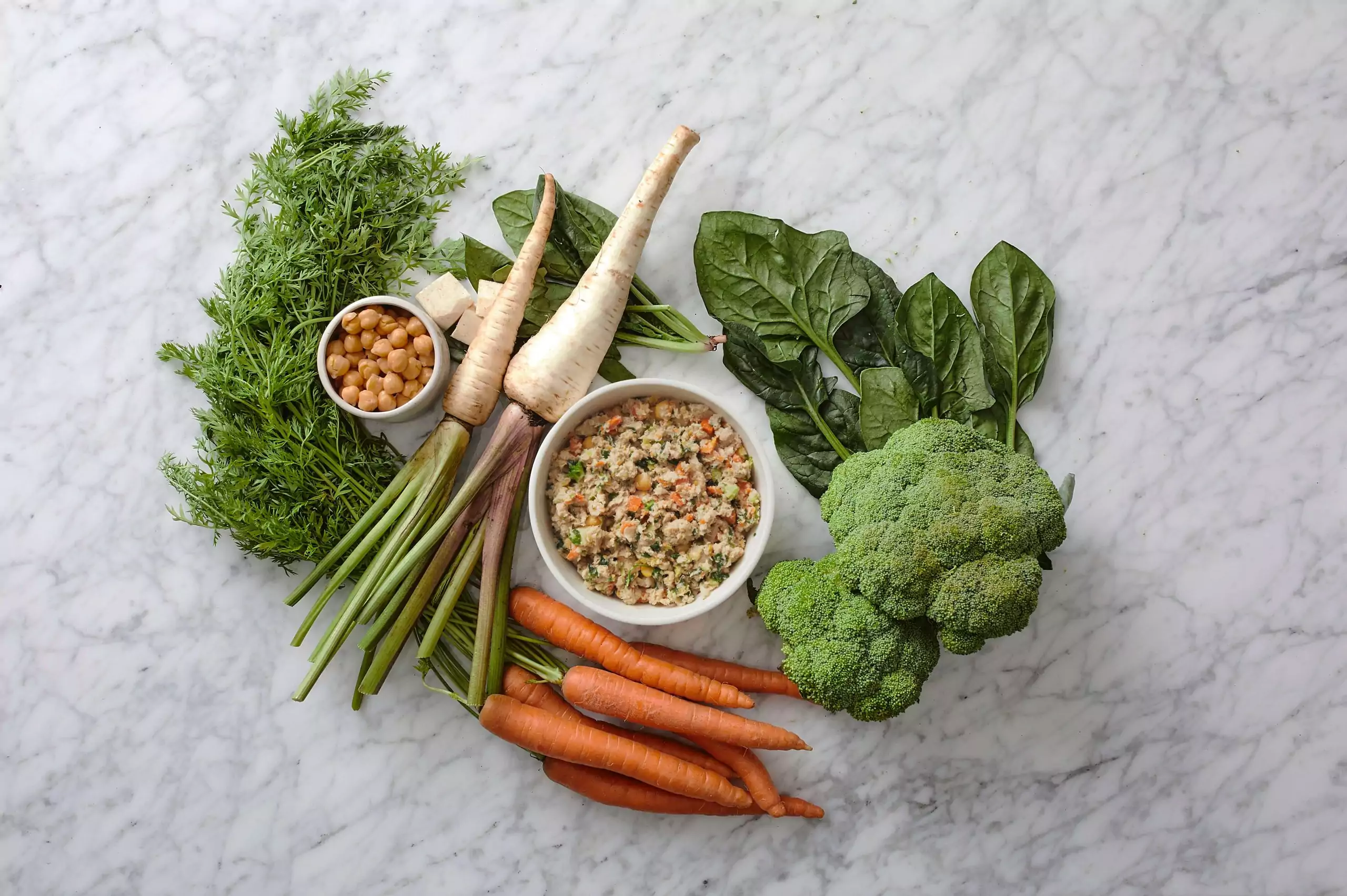 Why Dog Owners are Switching to Fresh Dog Food