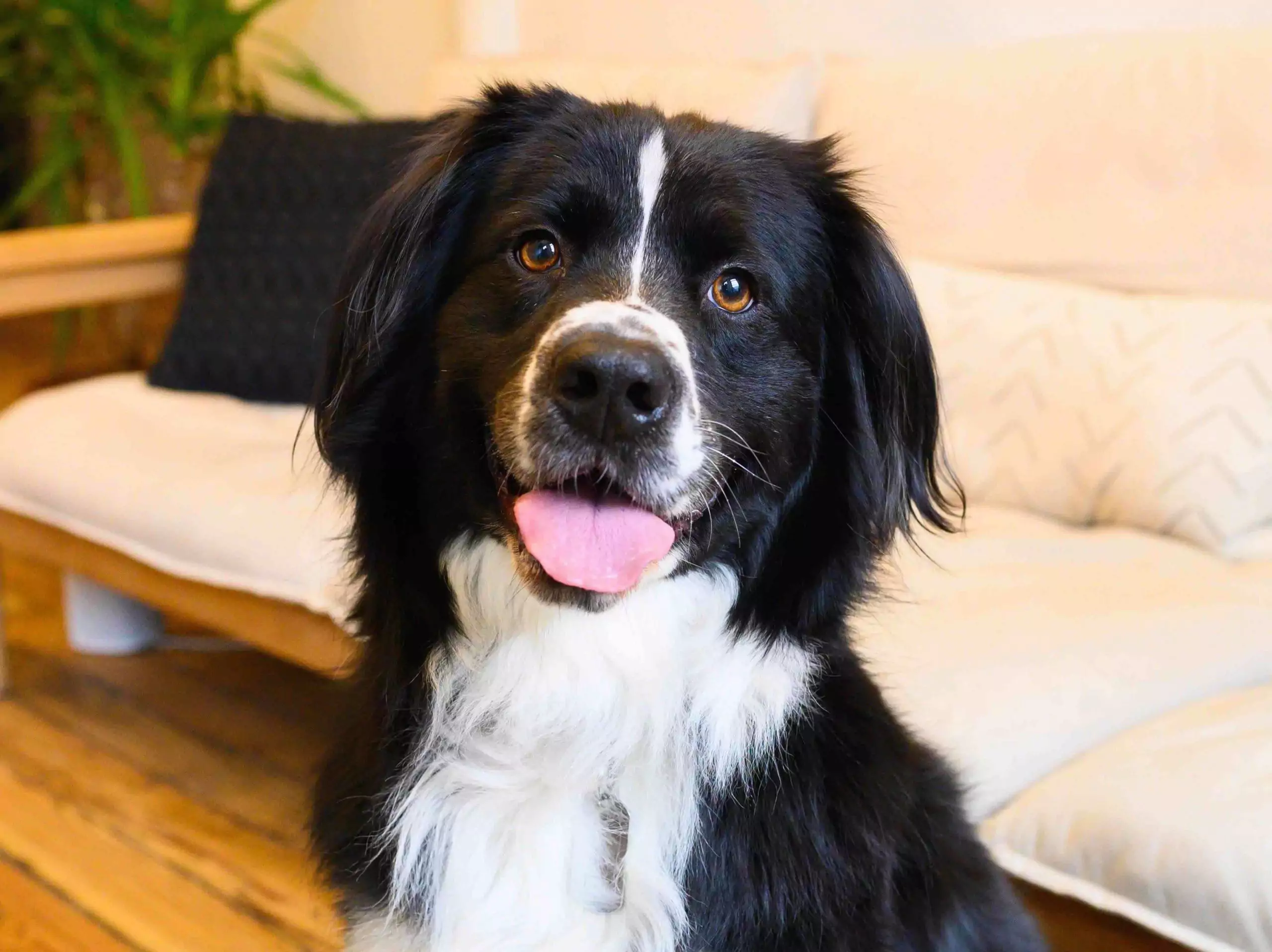 Losing Weight And Solving A Lifelong Vomiting Problem