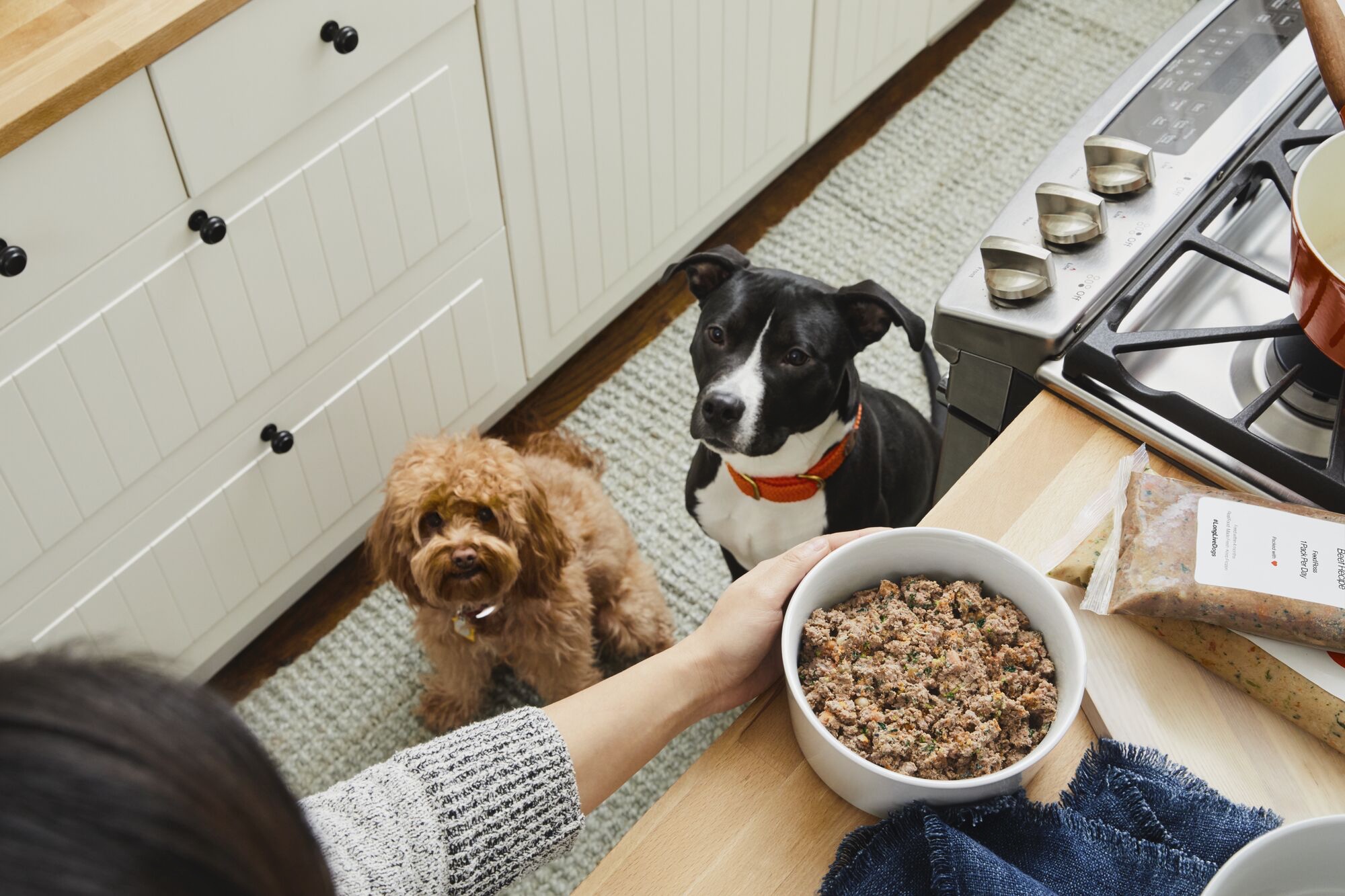 How The Farmer’s Dog Conducted a Multi-Year Feeding Study