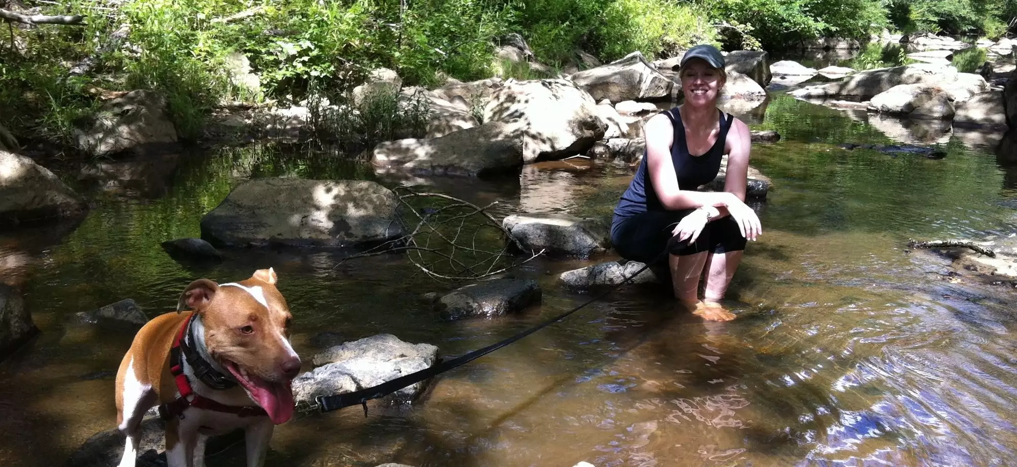 Dog Person: How a Pit Bull Changed a Journalist’s Mind (and Life)