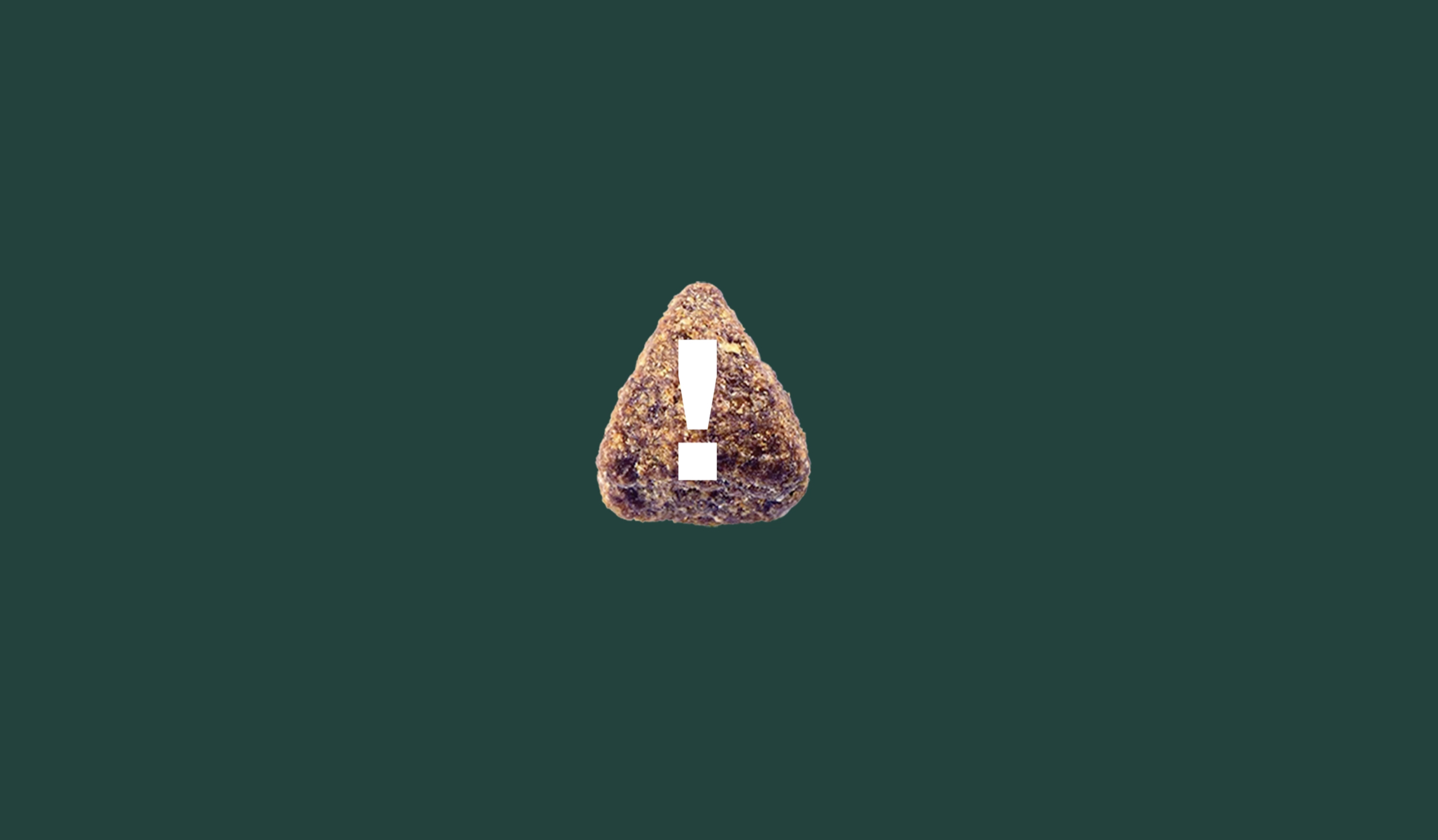 Dog Service Announcement: The Kibble Crunch Is Not the Sound of the Healthiest Food