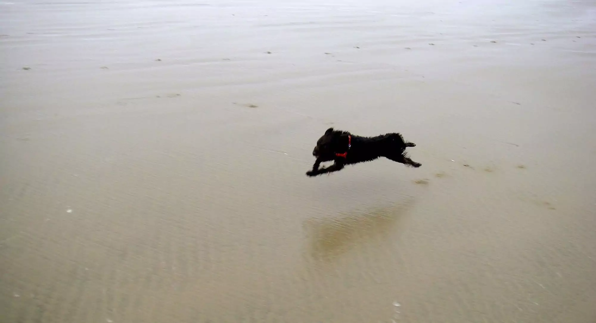 New Energy and an End to Skin Issues for a Super Senior