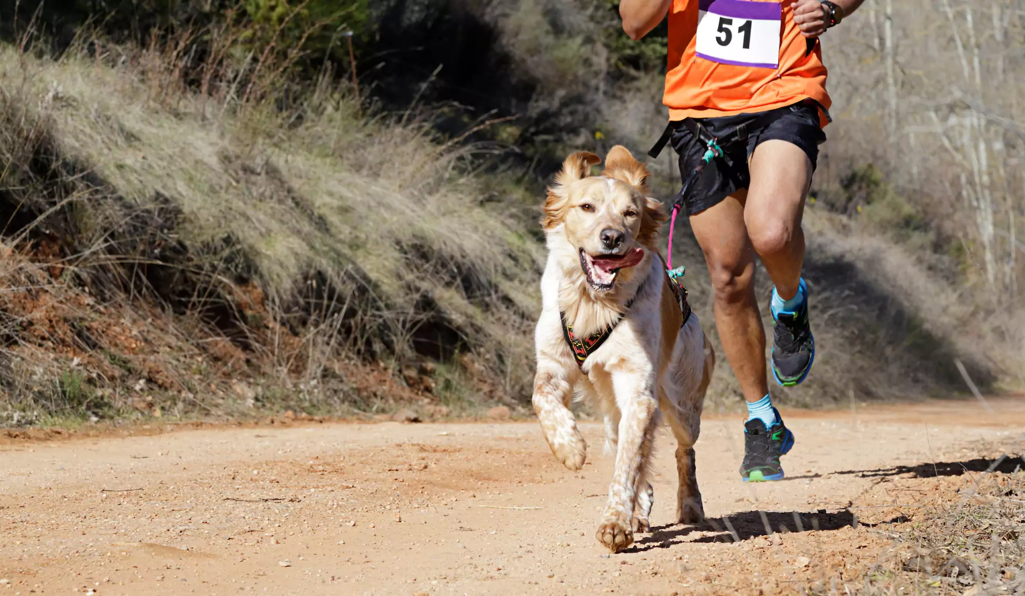 man running with happy dog on wide dirt path