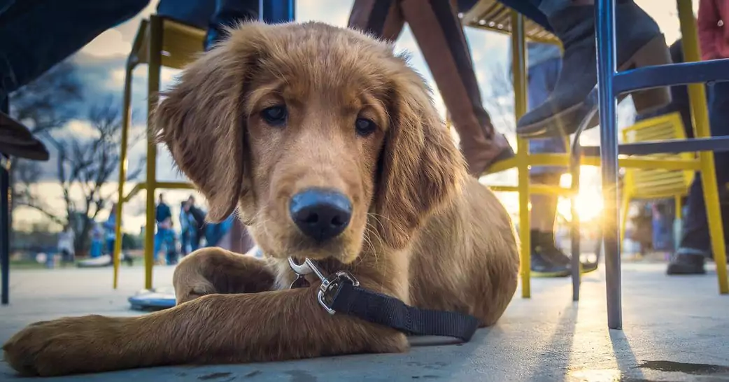 photo-1516755594799-4e41b3066883