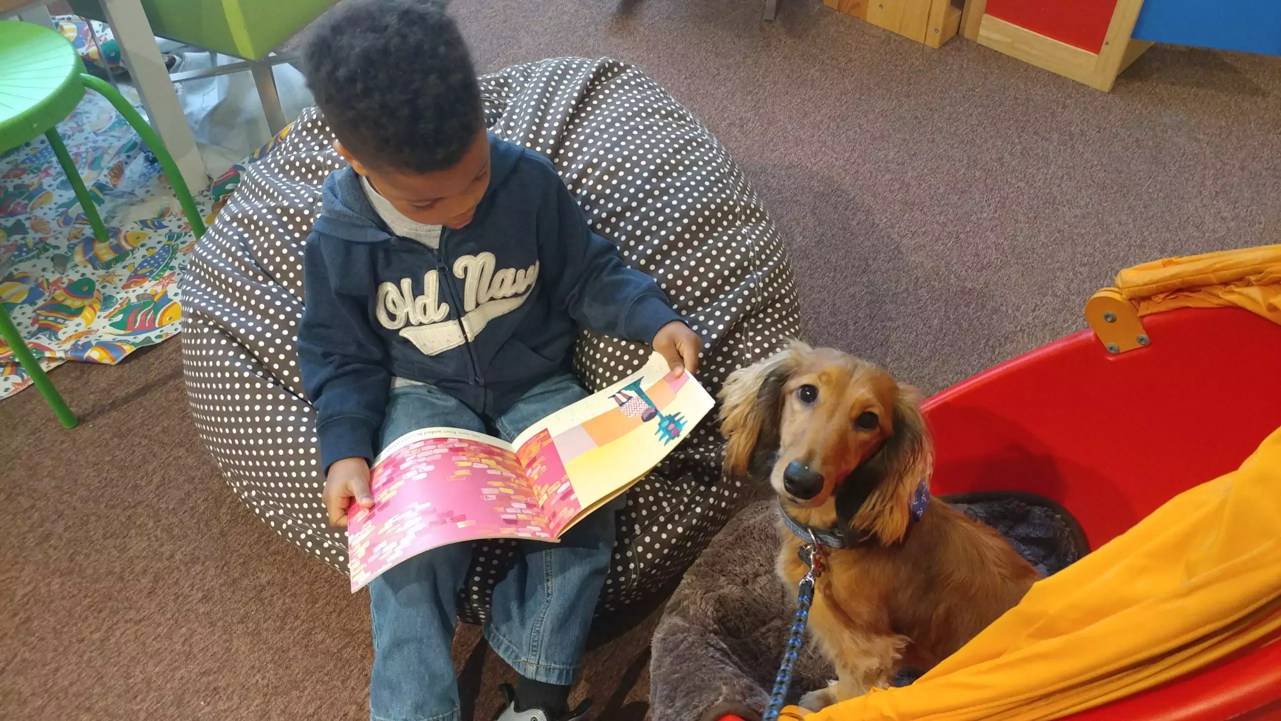 Therapy-dog with child