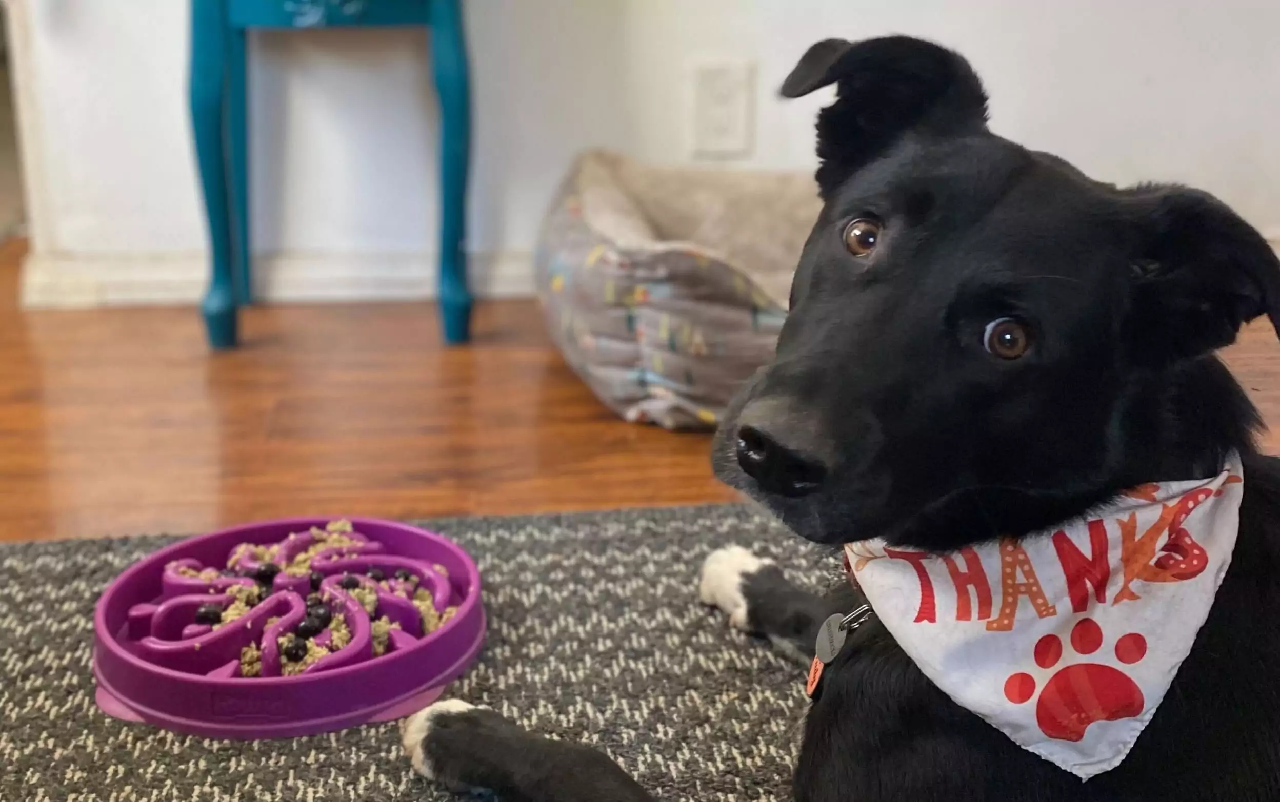 slow feeding horizontal