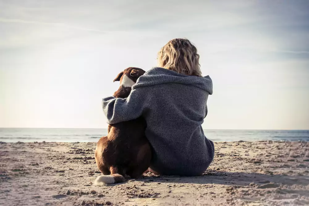 How to Bond With Your Dog