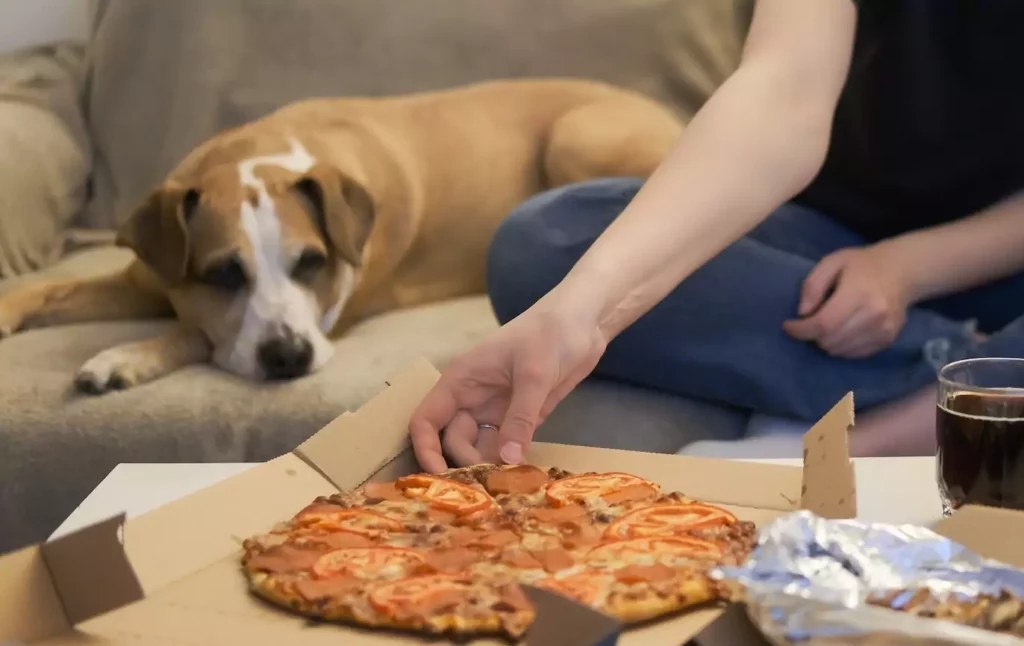 How Do Dogs Control Their Impulses?