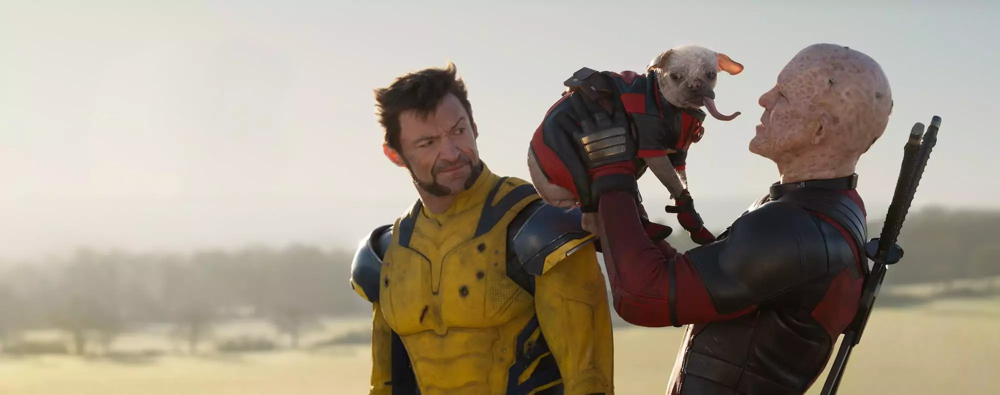 How Britain’s “Ugliest Dog” Turned Into a Movie Star