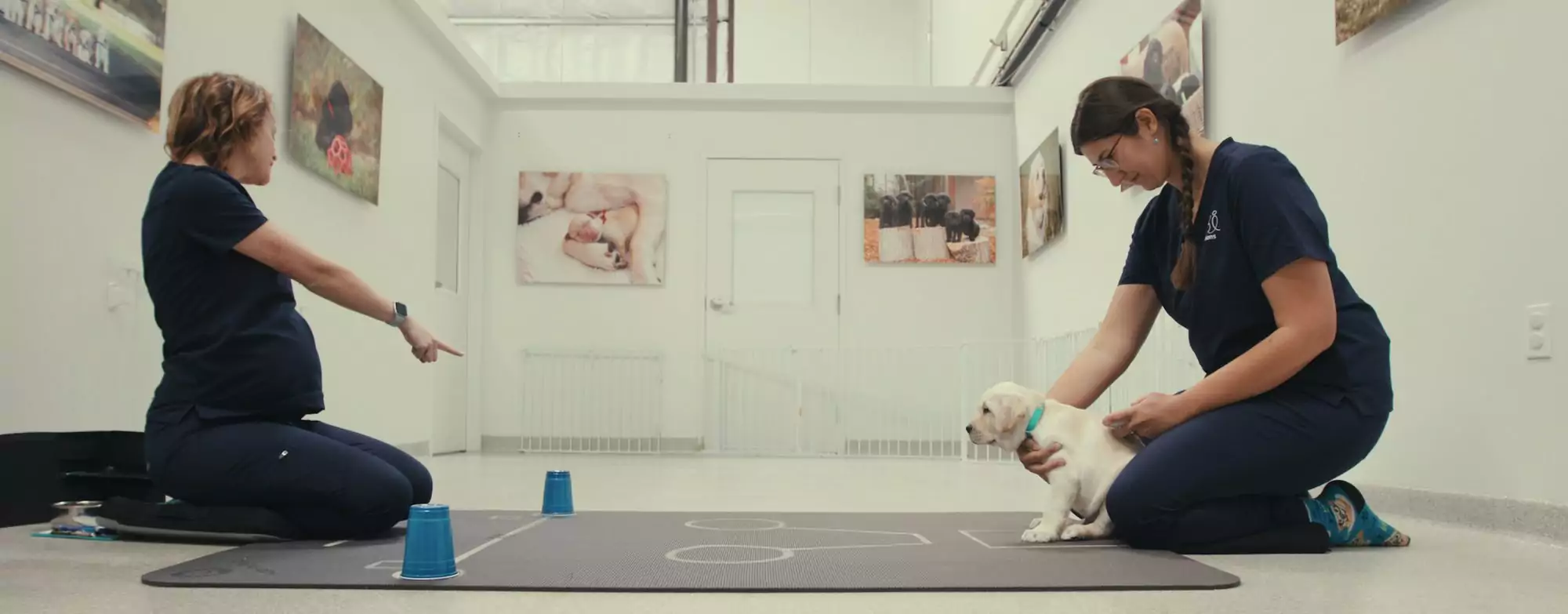 Dog-Person Interview: Andy Mitchell, Director of “Inside the Mind of a Dog”