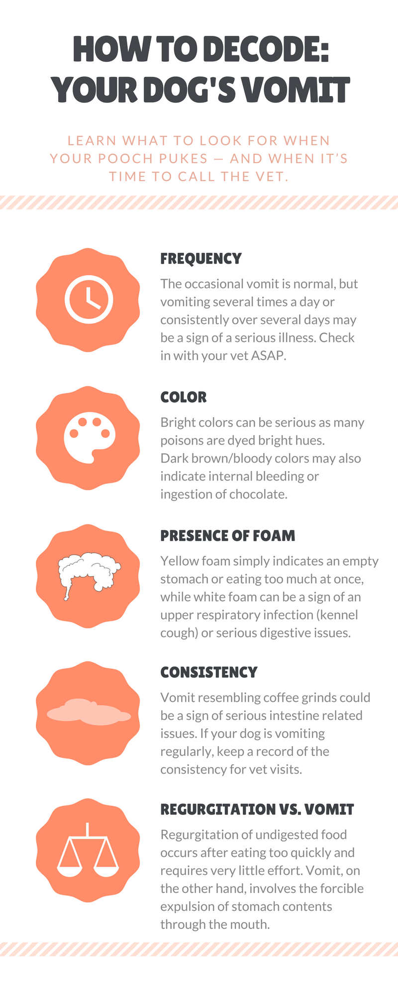 How to decode-Your dog's vomit (2)